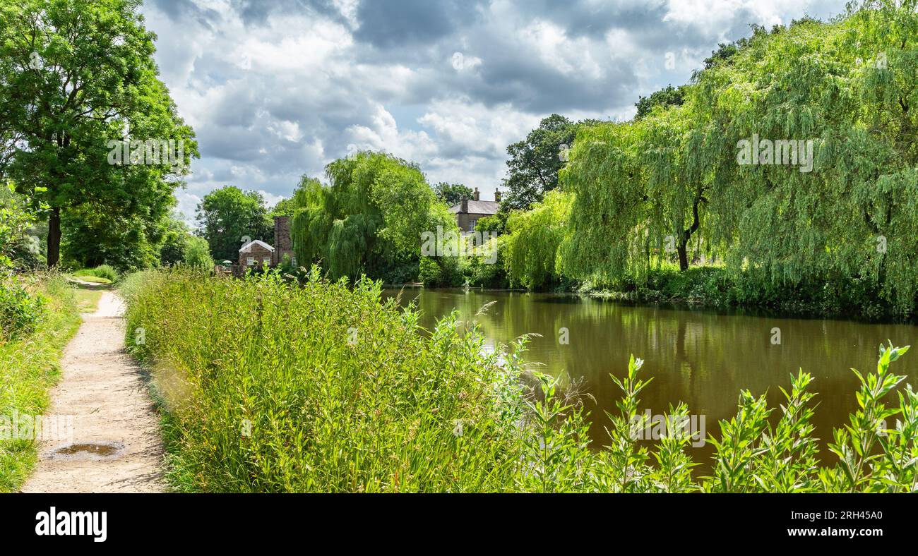 Un sentier au bord de la rivière aire à Baildon, West Yorkshire. Banque D'Images