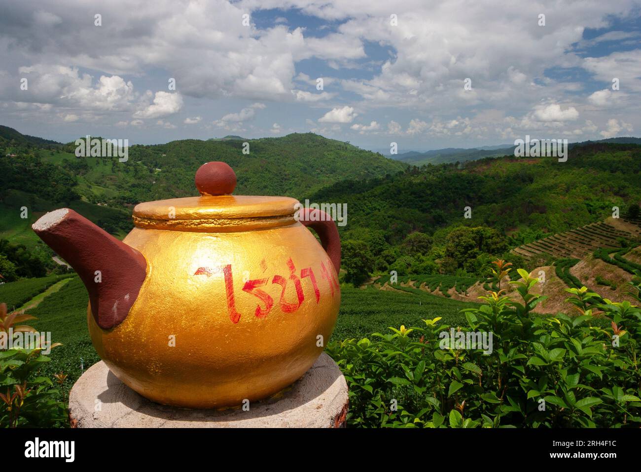 Plantation de thé au-dessus du village de Mae Salong dans le nord de la Thaïlande en Asie du Sud-est Banque D'Images Plantation de thé au-dessus du village de Mae Salong dans le nord de la Thaïlande en Asie du Sud-est Banque D'Images