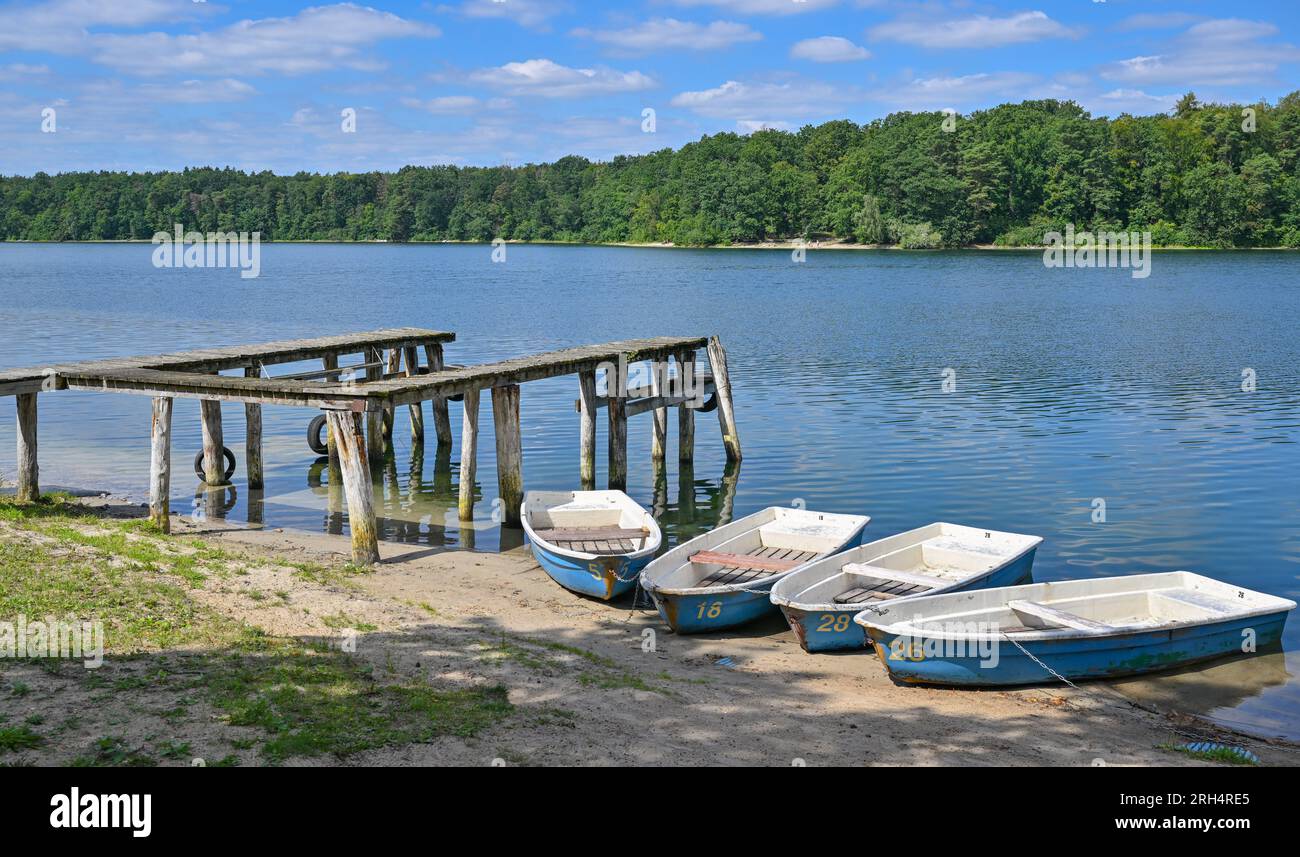 Strausberg, Allemagne. 11 août 2023. Il y a une jetée à presque deux mètres des bateaux sur la rive du lac Straussee. Le lac a perdu la moitié de son eau depuis une dizaine d'années. Depuis 2014, le niveau d'eau a chuté d'environ 20 centimètres chaque année. La cause de la perte d'eau est inconnue. Une expertise a été demandée sur la question. Crédit : Patrick Pleul/dpa/Alamy Live News Banque D'Images