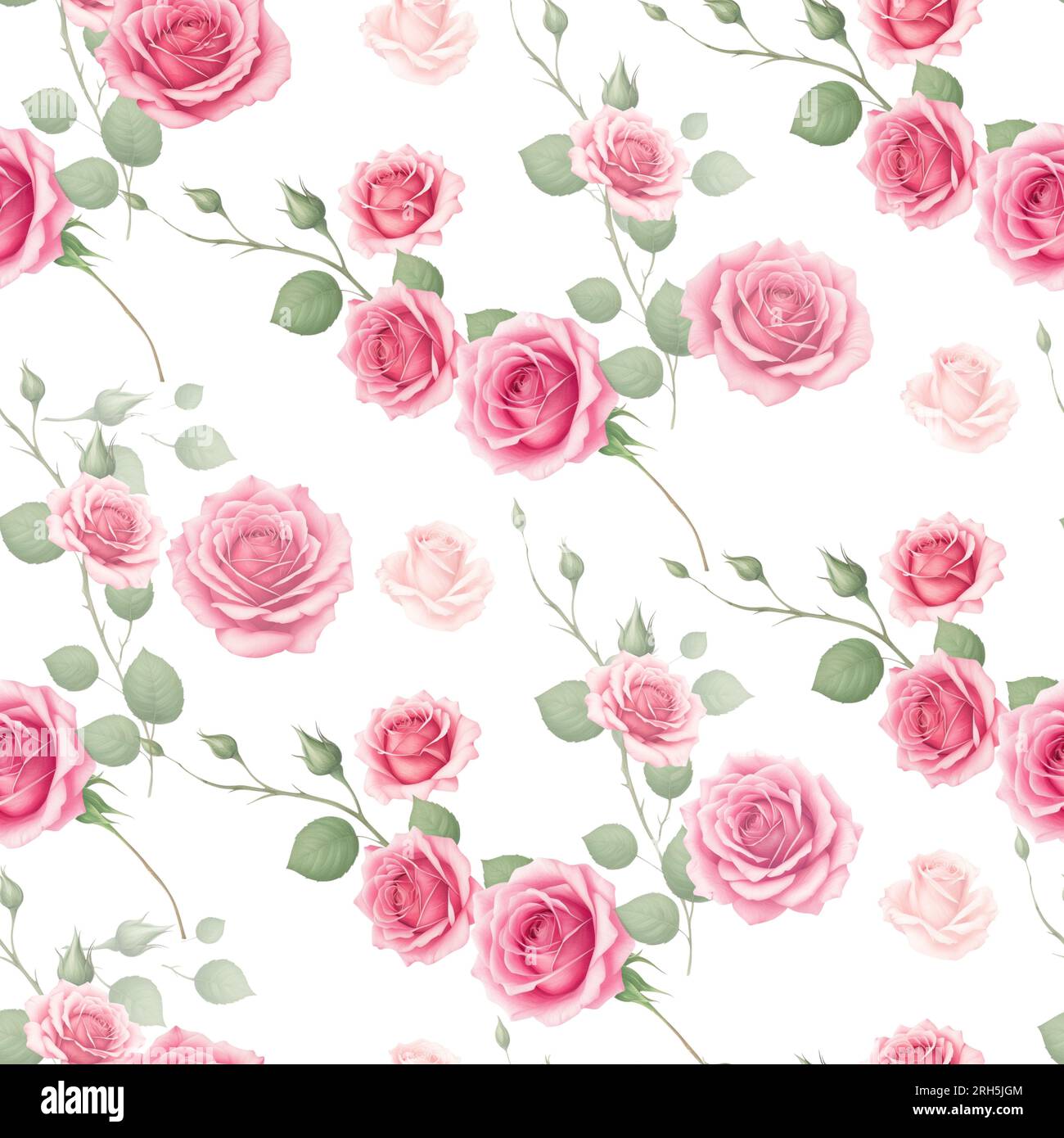 Bouquets de fleurs roses éléments Seamless pattern full full sur blanc Banque D'Images