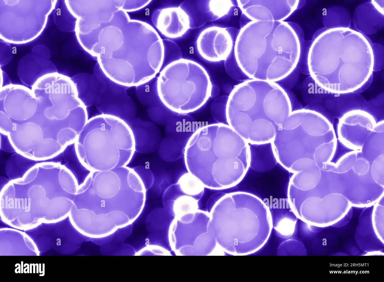 Forme de cellule bactérienne : cocci, bacilles, bactéries spirilla Banque D'Images