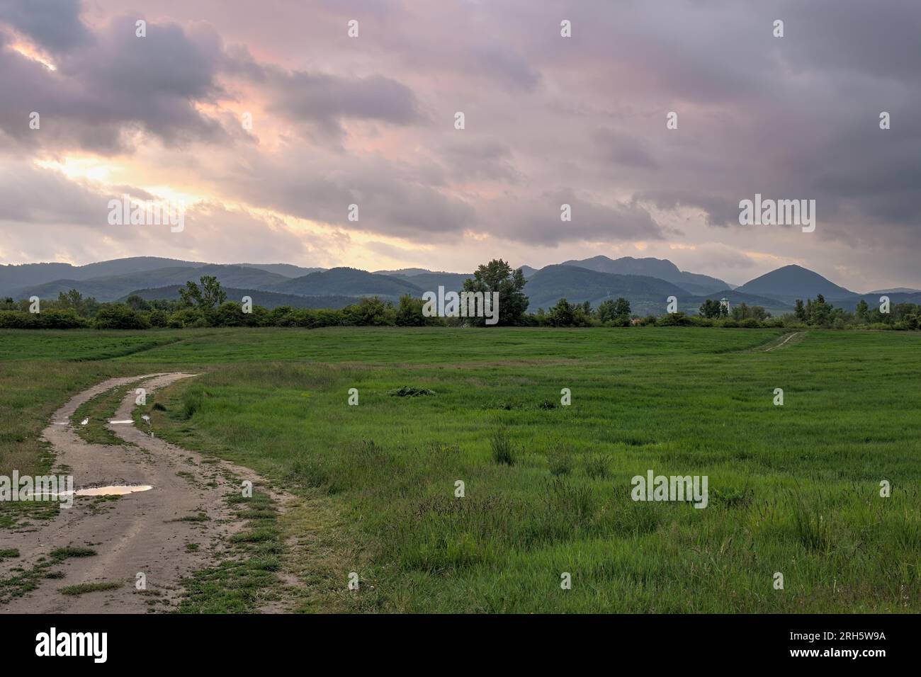 Paysage rural du soir avec chemin et prairie au coucher du soleil. Arbres et collines en arrière-plan. Ciel nuageux coloré et nuages après la pluie. Dubnica, Slovaquie Banque D'Images