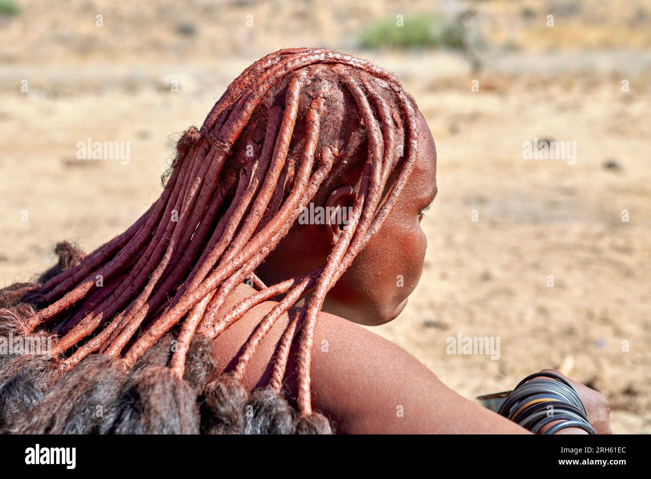 Namibie. Portrait d'une femme Himba avec coiffure traditionnelle dans la région de Kunene Banque D'Images