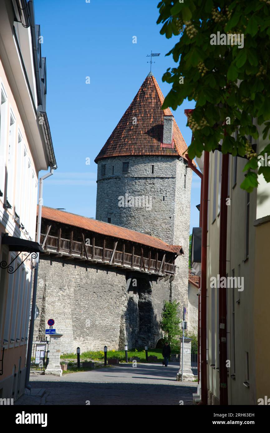 Remparts médiévaux de la vieille ville de Tallinn, Estonie Banque D'Images