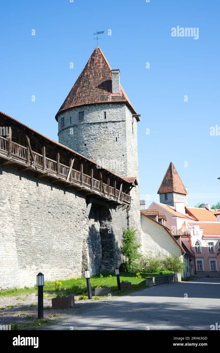 Remparts médiévaux de la vieille ville de Tallinn, Estonie Banque D'Images