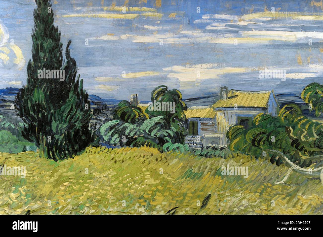 Vincent Van Gogh (1853-1890) Peintre post-impressionniste néerlandais. Maïs vert, 1889. Détails. Galerie nationale, Prague, République tchèque. Banque D'Images