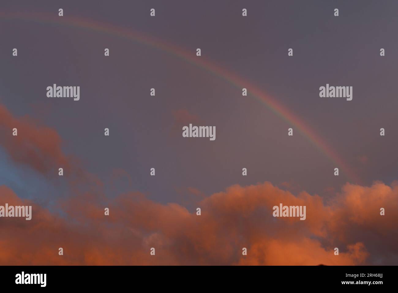 Arc-en-ciel dans un ciel crépusculaire avec des nuages orange. Ciel crépusculaire violet avec nuages orange et arc-en-ciel Banque D'Images