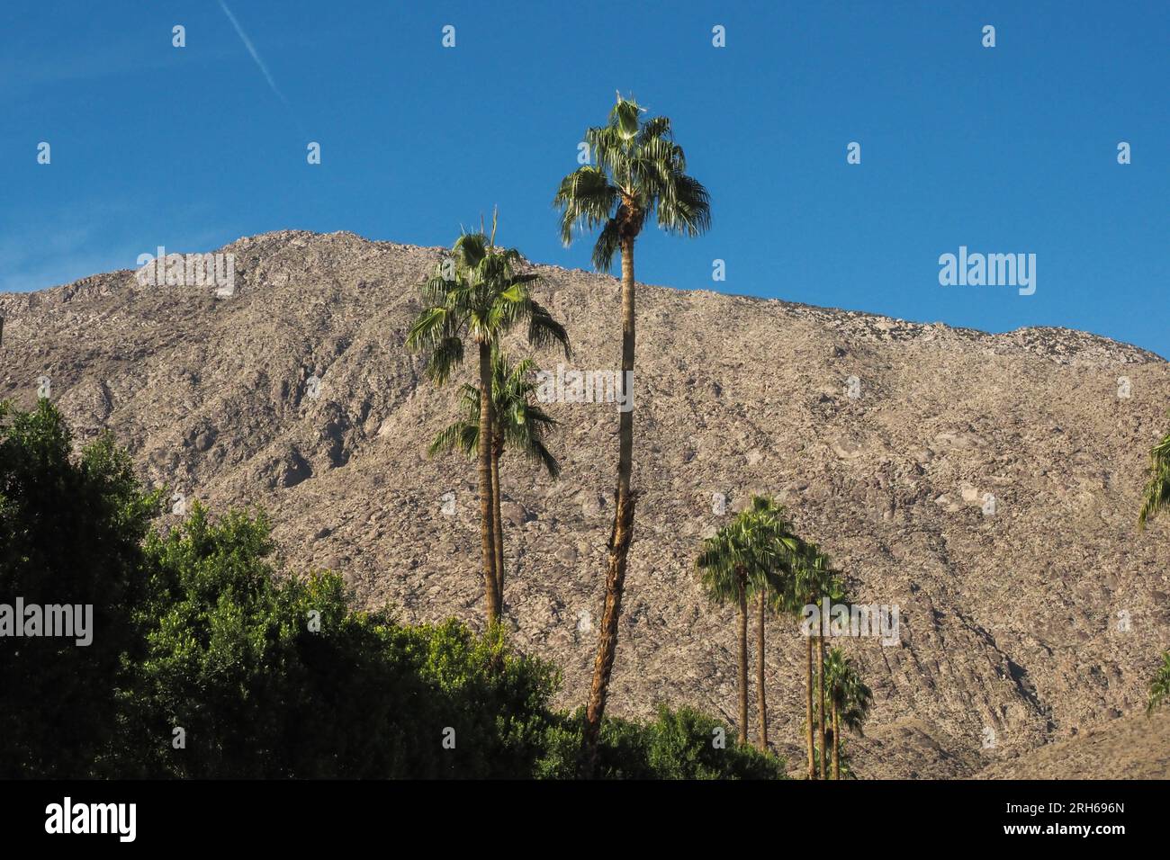 San Jacinto Mountain près de Palm Springs, États-Unis, 23 novembre 2022. (Photo CTK/Pavel Vesely) Banque D'Images