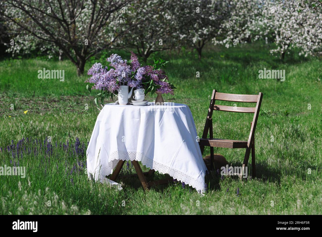 beau bouquet de lilas dans un vase et gâteaux macaron dans le jardin de printemps, nature morte Banque D'Images