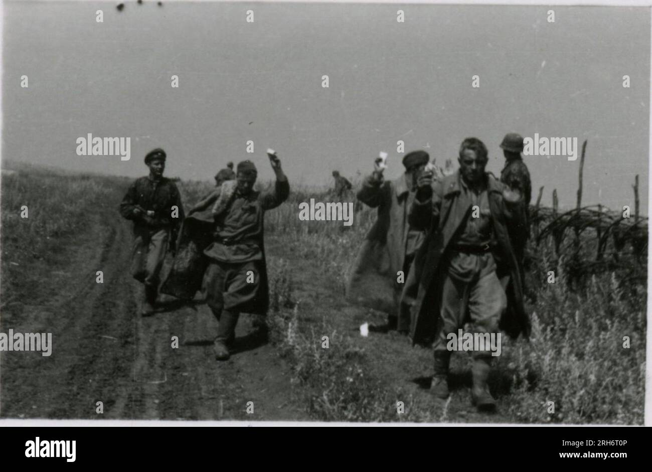 Photographe SS, Grönert, Hermann (Totenkopf, Russie et Italie 1943) démonstration de Tiger I aux officiers japonais ; action de combat hivernale avec halftrack, fusil Flak monté sur halftrack et StuG III ; population russe ; de nombreuses photos d'action de combat d'infanterie en Russie avec Tiger is, StuG, Marder et canons antichar; chars russes détruits et capturés ; prisonniers de guerre russes ; soldats mettant en place des mines ; fusils d'assaut et Tigre is avec l'infanterie en Italie, entraînement d'infanterie avec des mortiers et un schwimmwagen traversant la rivière Banque D'Images