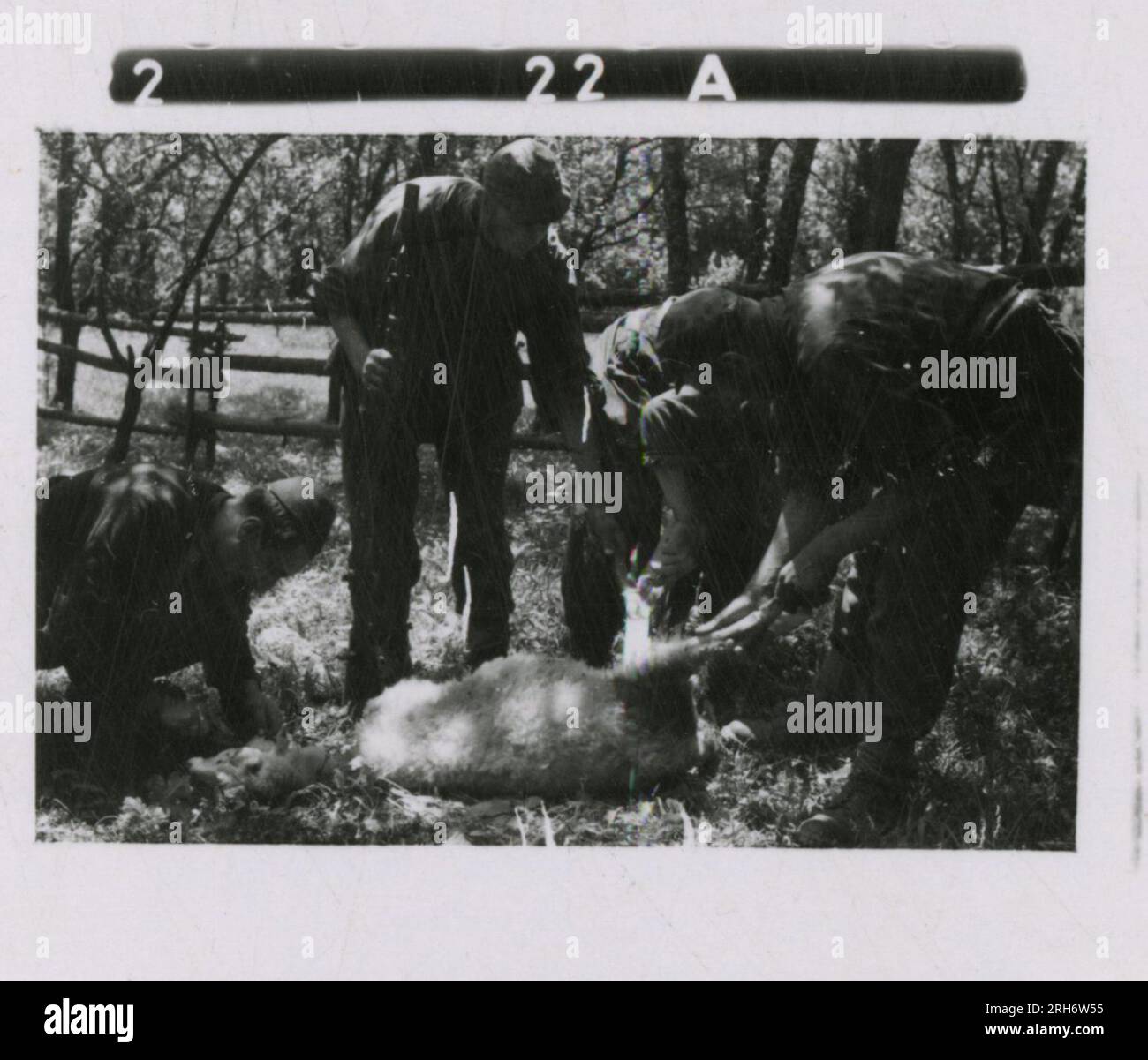 Photographe SS, Heiss (1943) unité et soldats dans les casernes, visite de Himmler avec cérémonie officielle comprenant la jeunesse hitlérienne, mouvement de l'unité par rail, soldats occupant un poste d'observation dans les montagnes, patrouille en terrain montagneux et activités sur le terrain, équipage de mitrailleuses. Banque D'Images