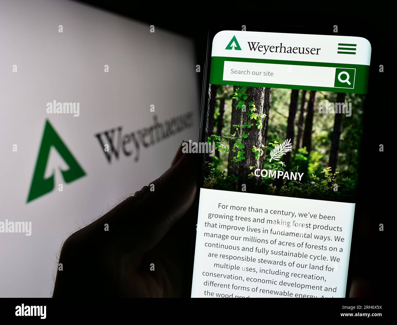 Logo weyerhaeuser Banque de photographies et d’images à haute