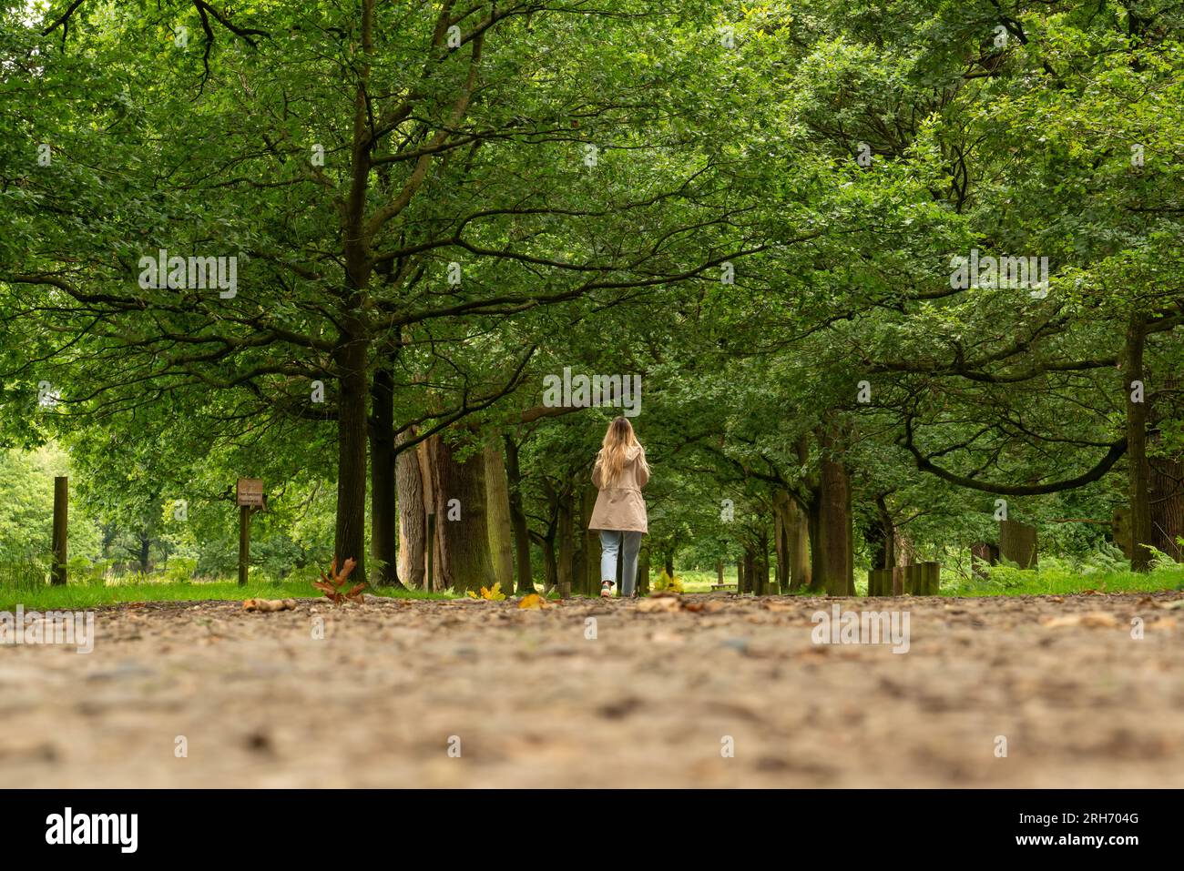jeune femme marchant à travers la forêt Banque D'Images