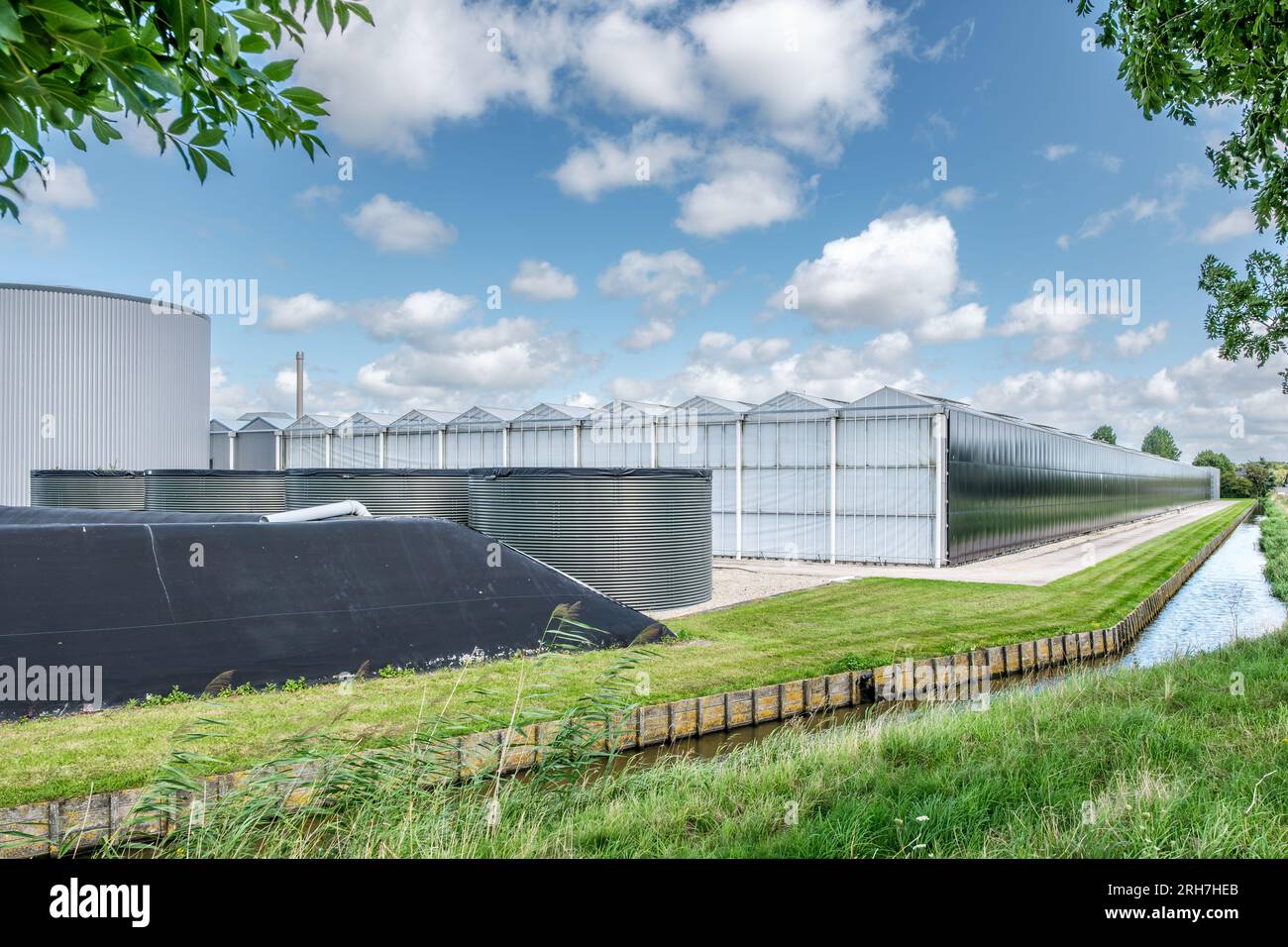 Vue en perspective d'une serre industrielle moderne avec systèmes solaires et de récupération des eaux de pluie aux pays-Bas. Banque D'Images