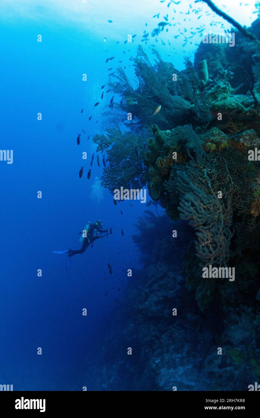 Grand Cayman Banque D'Images