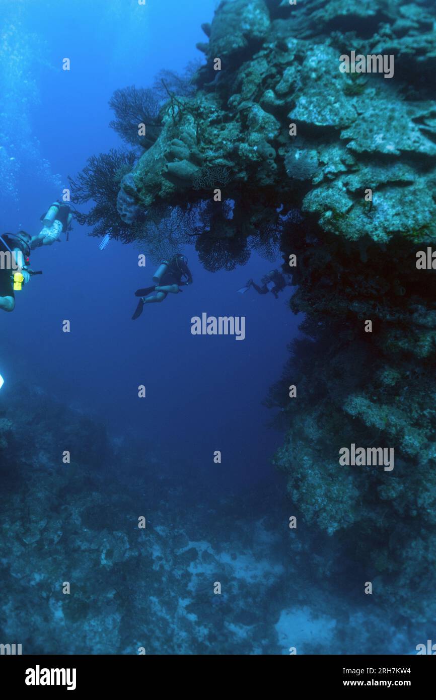 Grand Cayman Banque D'Images