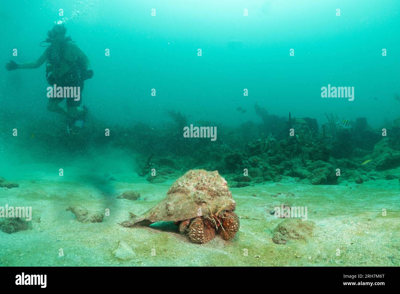 West Palm Beach, FL photos de plongée Banque D'Images