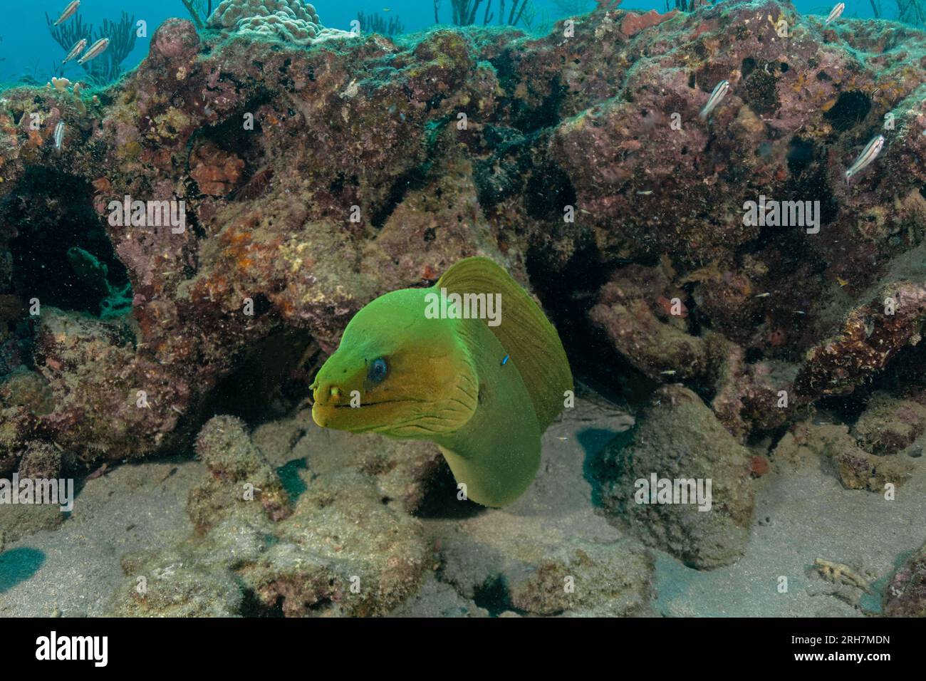 West Palm Beach, FL photos de plongée Banque D'Images