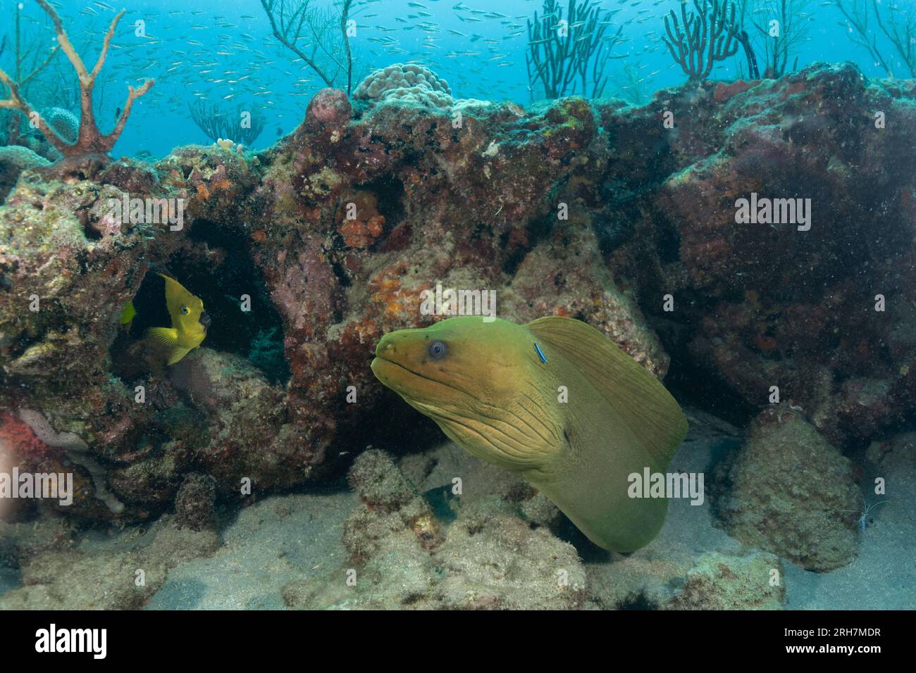 West Palm Beach, FL photos de plongée Banque D'Images