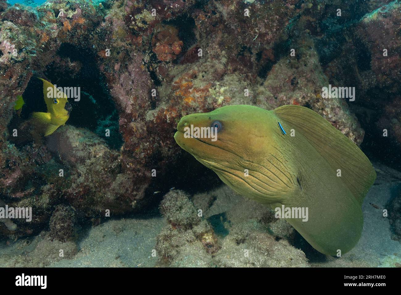 West Palm Beach, FL photos de plongée Banque D'Images