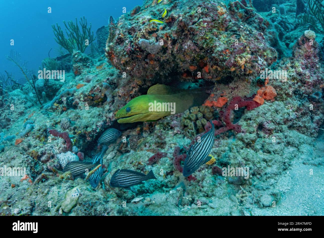 West Palm Beach, FL photos de plongée Banque D'Images