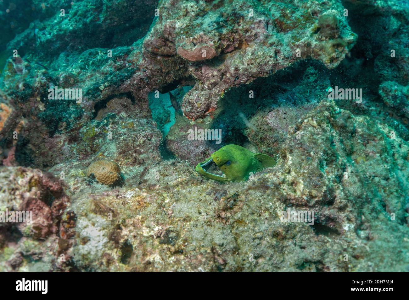 West Palm Beach, FL photos de plongée Banque D'Images