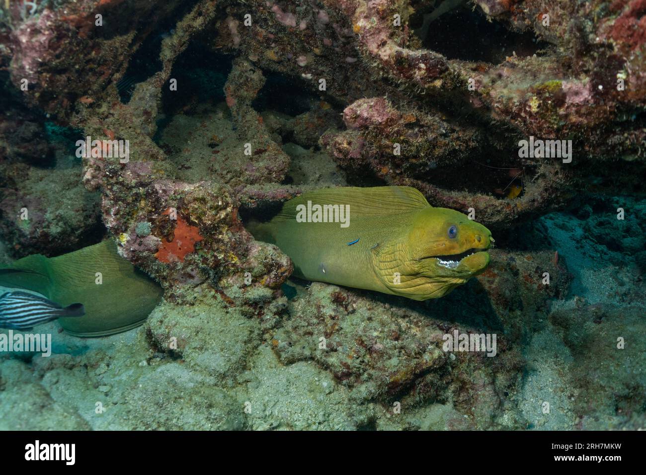 West Palm Beach, FL photos de plongée Banque D'Images