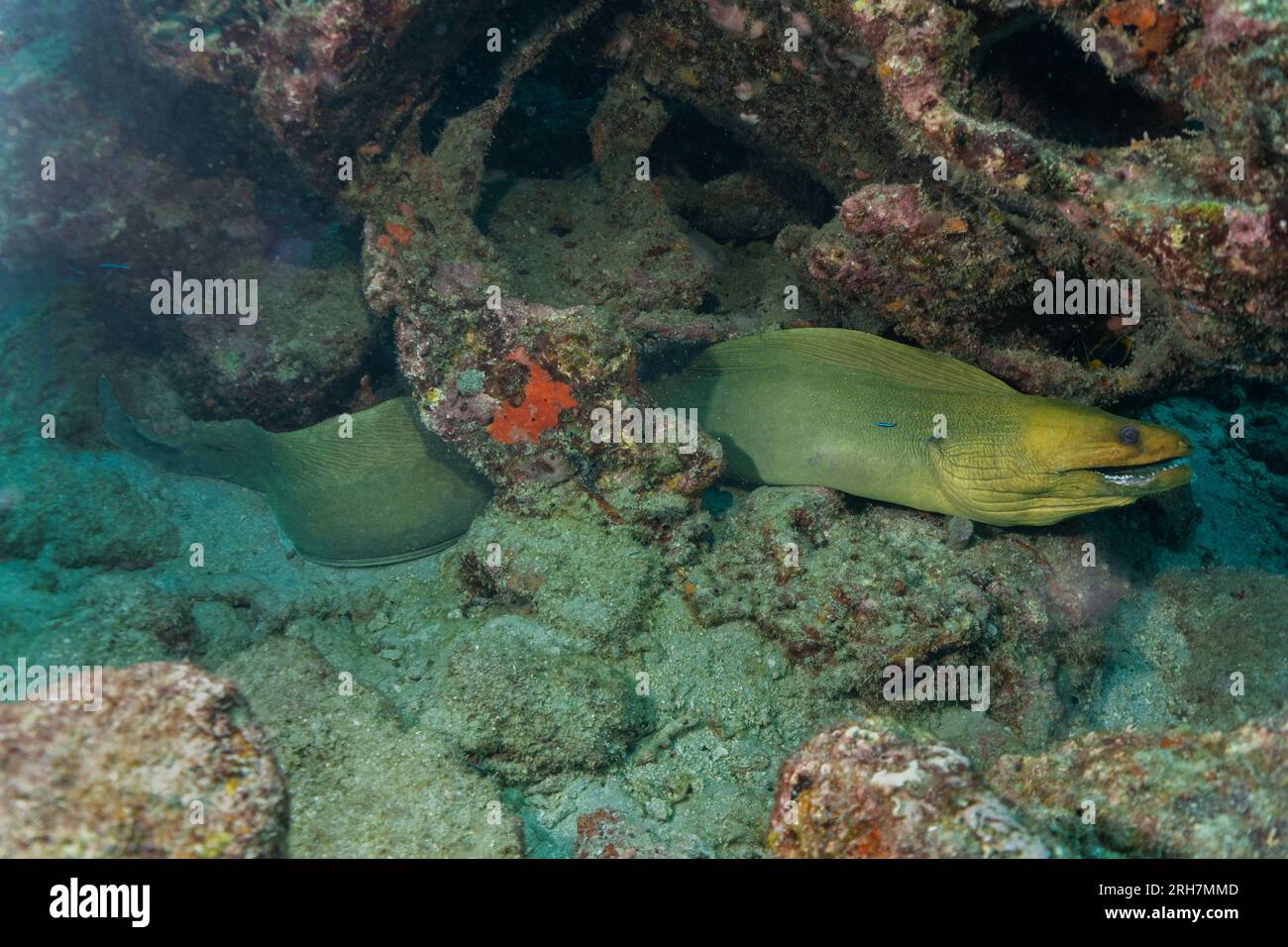 West Palm Beach, FL photos de plongée Banque D'Images