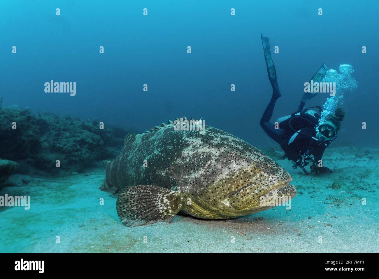 West Palm Beach, FL photos de plongée Banque D'Images