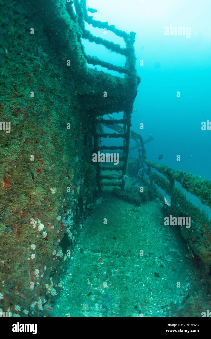 West Palm Beach, FL photos de plongée Banque D'Images