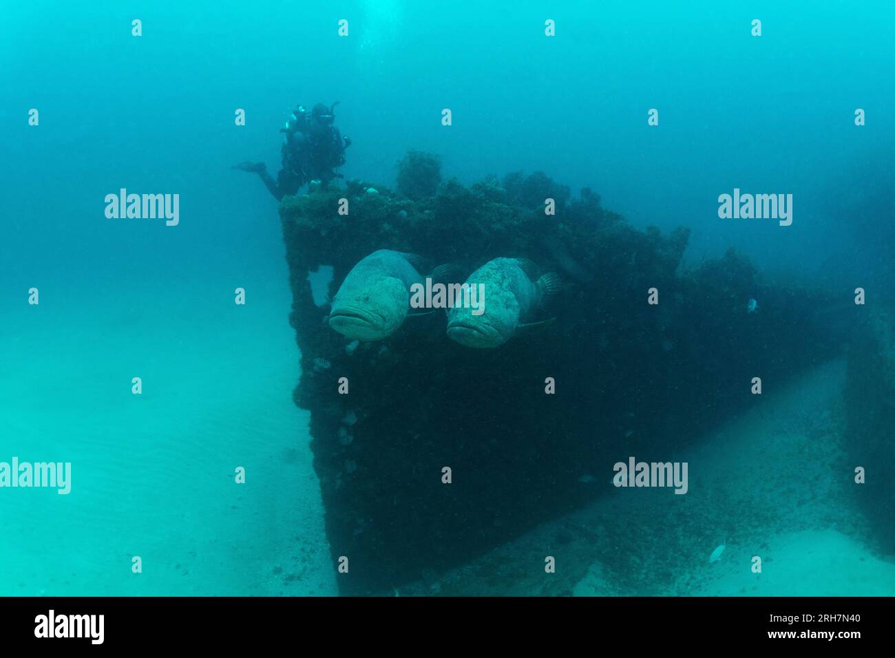 West Palm Beach, FL photos de plongée Banque D'Images