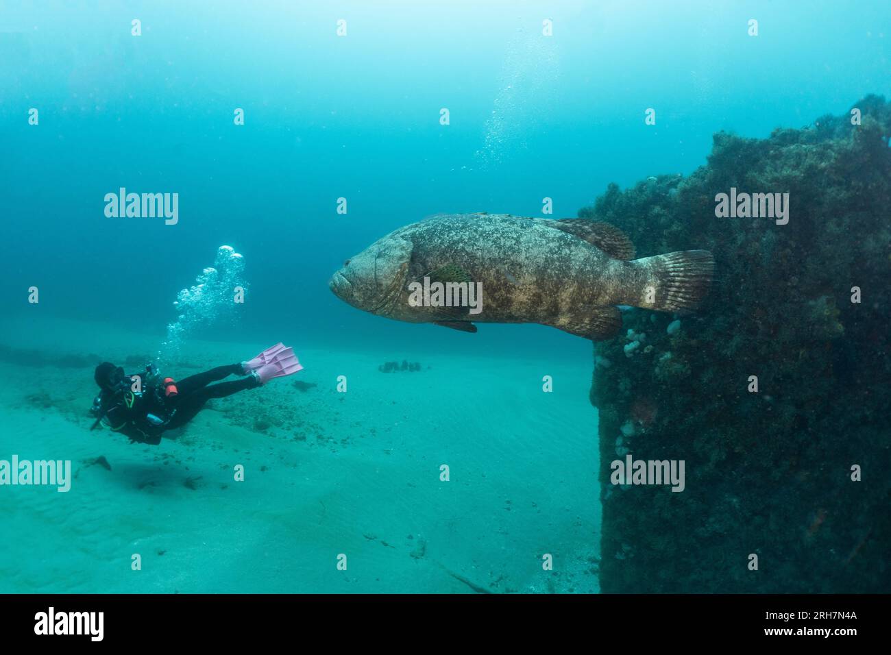 West Palm Beach, FL photos de plongée Banque D'Images