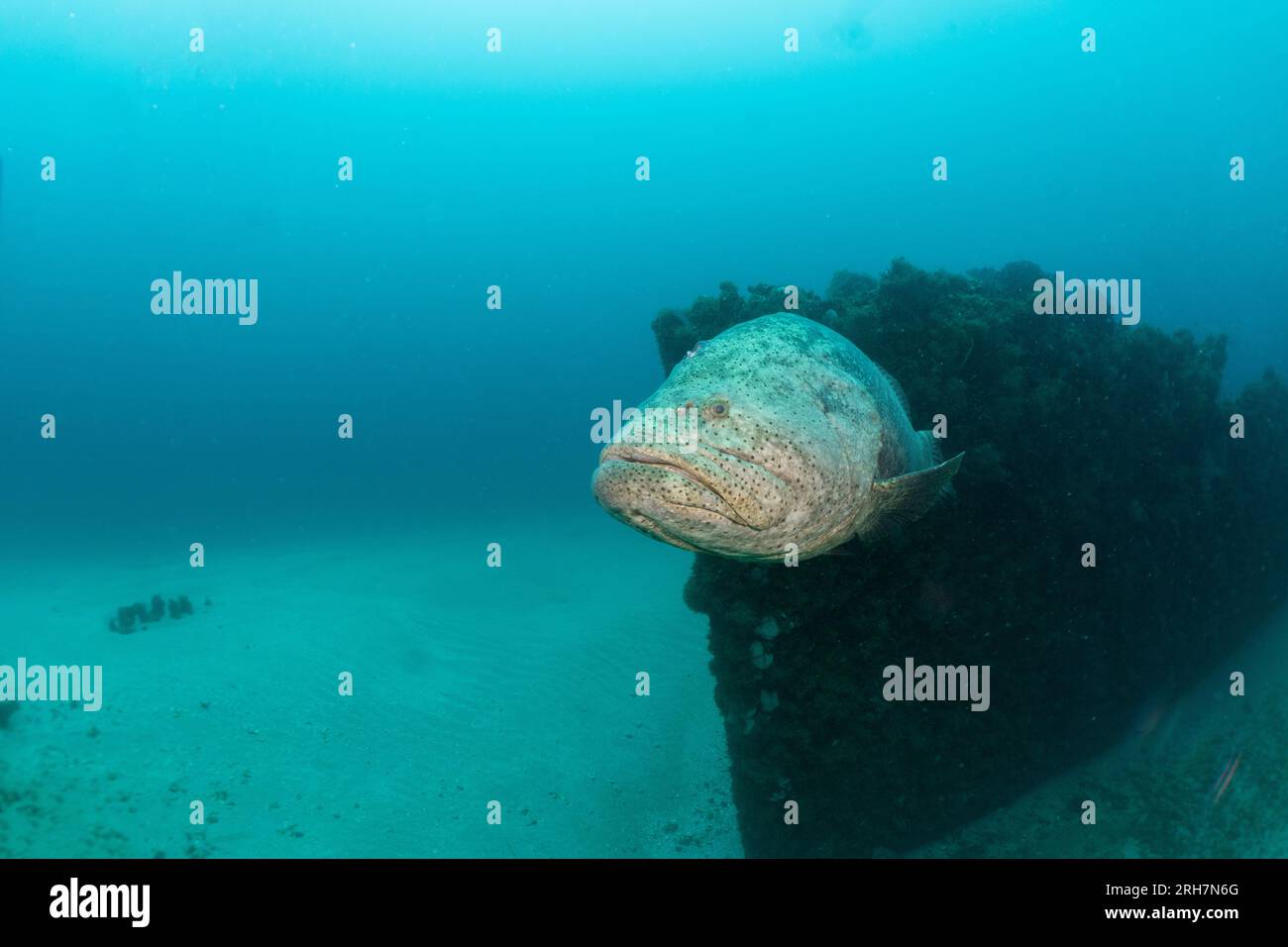 West Palm Beach, FL photos de plongée Banque D'Images