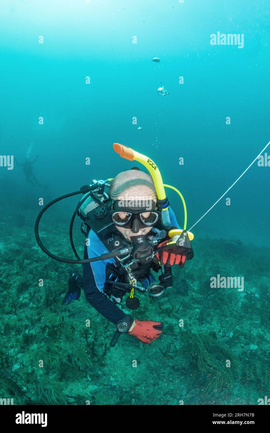 West Palm Beach, FL photos de plongée Banque D'Images