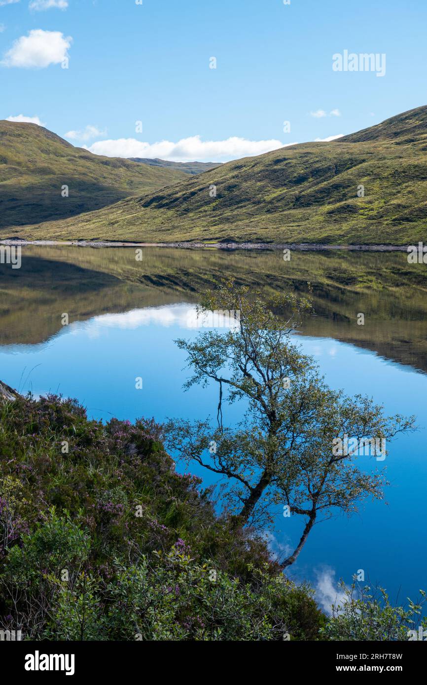 Vue sur le loch et les montagnes dans les Highlands de l'Écosse Banque D'Images