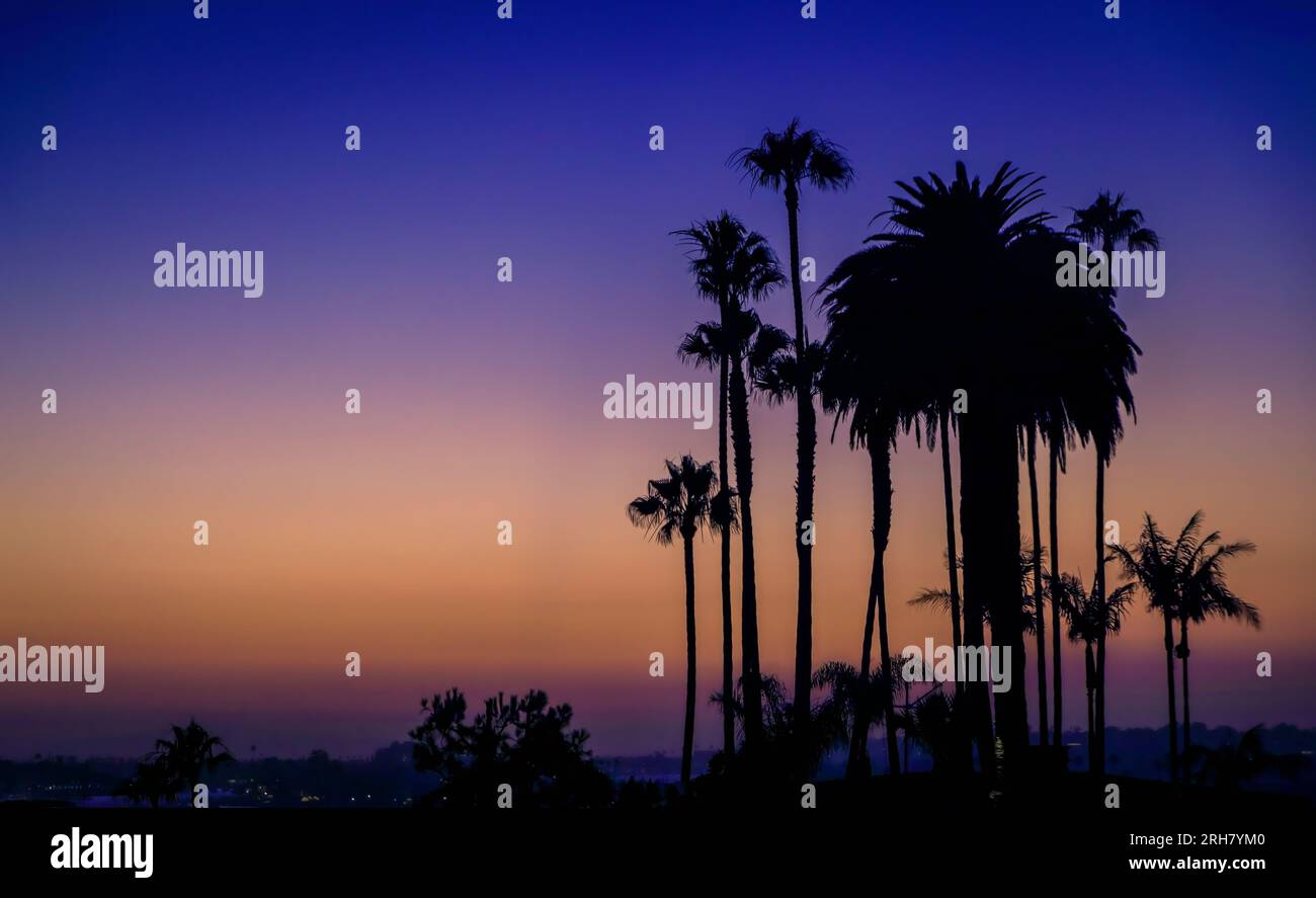 Palmiers et maisons de luxe au-dessus de l'océan Pacifique au coucher du soleil à inspiration point à Corona del Mar, Newport Beach, célèbre destination en Californie Banque D'Images