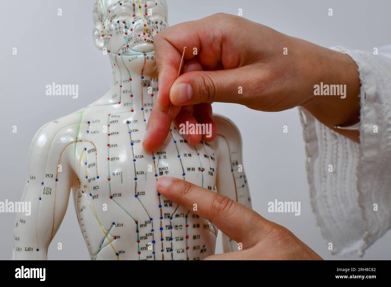 Une main de femme enfonçant une aiguille d'acupuncture dans un mannequin humain, apprenant et pratiquant l'acupuncture. Banque D'Images