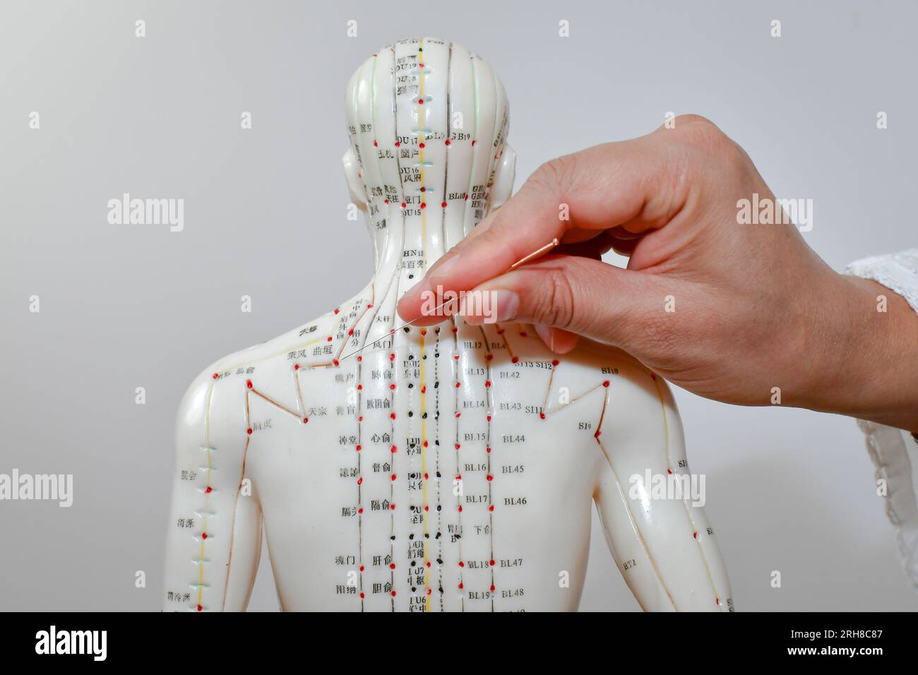 Une main de femme enfonçant une aiguille d'acupuncture dans un mannequin humain, apprenant et pratiquant l'acupuncture. Banque D'Images