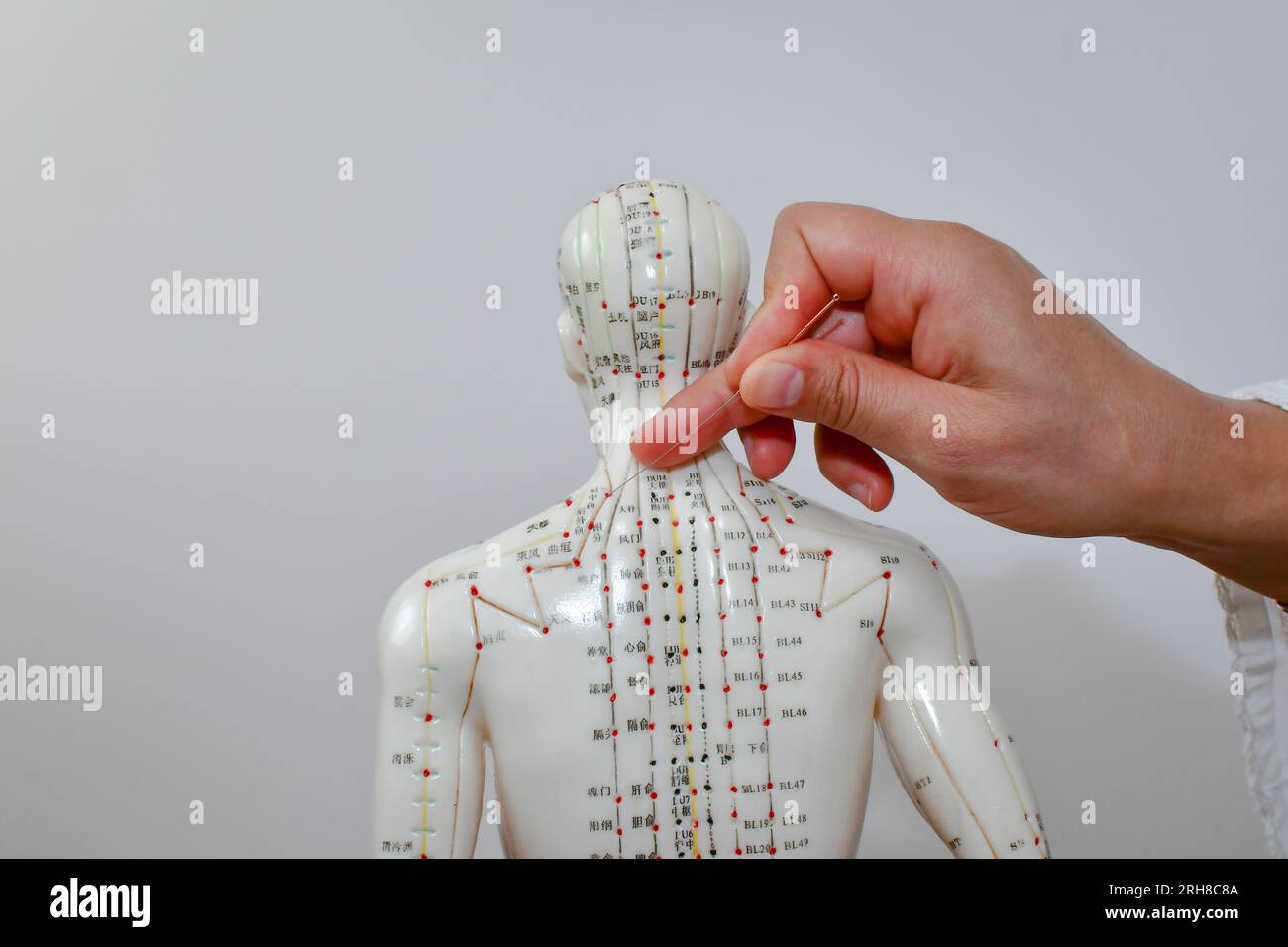 Une main de femme enfonçant une aiguille d'acupuncture dans un mannequin humain, apprenant et pratiquant l'acupuncture. Banque D'Images