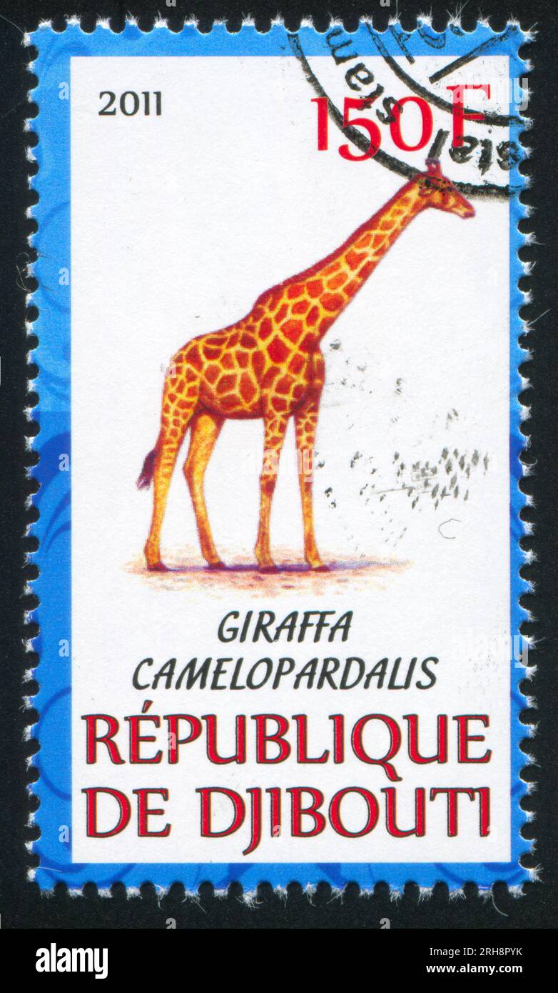 DJIBOUTI - CIRCA 2011 : timbre imprimé par Djibouti, montre girafe, circa 2011 Banque D'Images