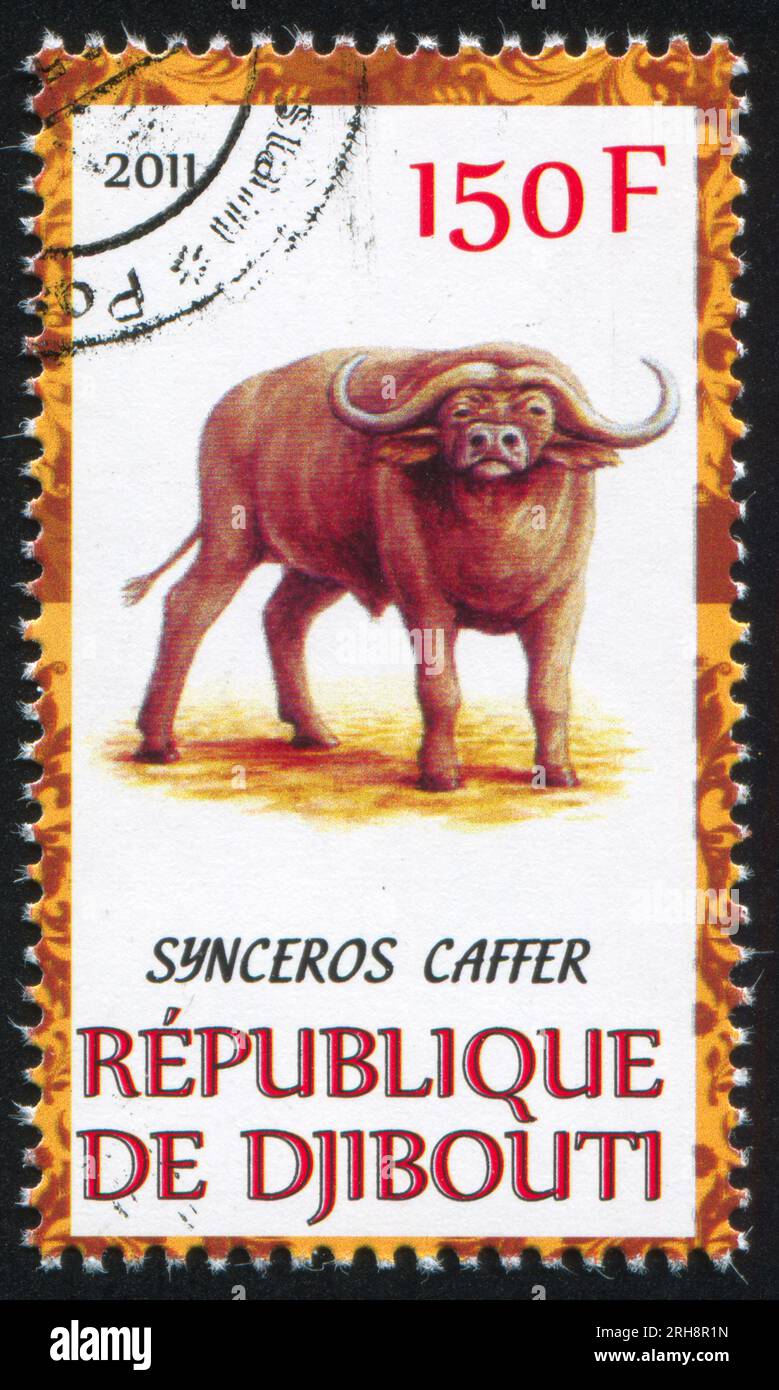 DJIBOUTI - CIRCA 2011 : timbre imprimé par Djibouti, montre des buffles, circa 2011 Banque D'Images