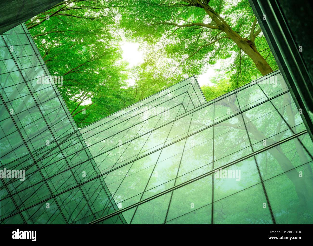 Bâtiment écologique dans la ville moderne.Bâtiment de bureau durable en verre avec arbre pour réduire la chaleur et le dioxyde de carbone.Bâtiment de bureau avec vert Banque D'Images