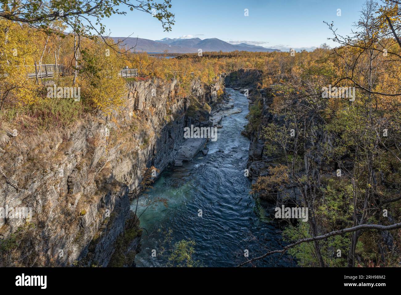 Autum Abisko Canyon River Abiskojakka National Park, Norrbottens, Norrbottens Laponie paysage nord de la Suède. Banque D'Images
