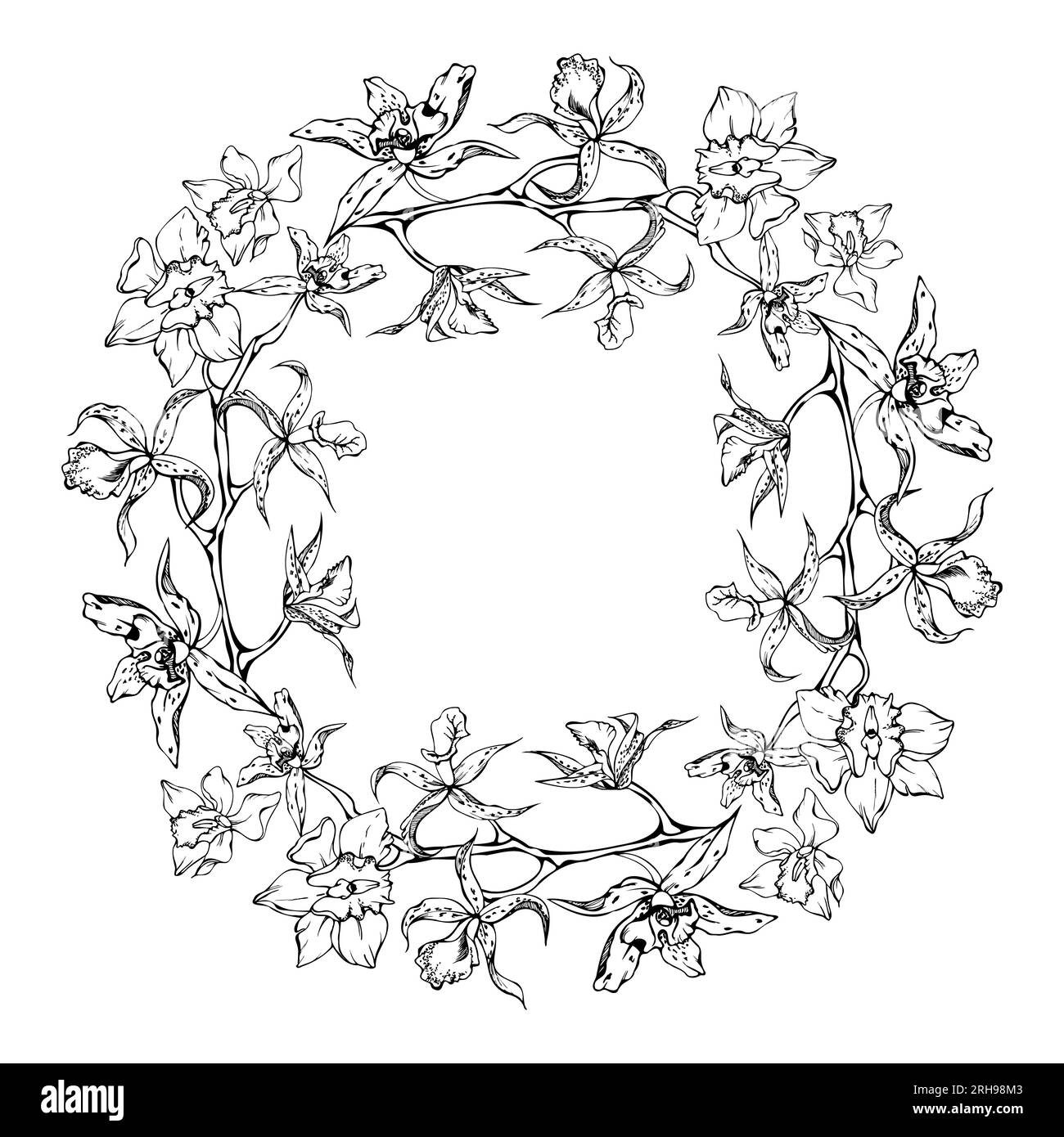 Fleurs et branches d'orchidées à encre vectorielle dessinées à la main, monochrome, contour détaillé. Composition de couronne circulaire. Isolé sur fond blanc. Conception pour Illustration de Vecteur