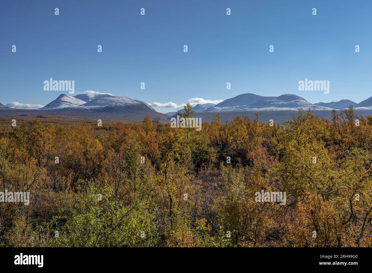 Saison d'automne à Abisko avec des montagnes en arrière-plan, Abisko, Laponie suédoise, Suède. Banque D'Images