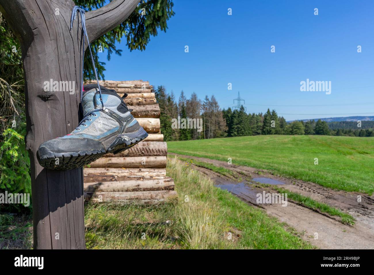 bottes de marche dans la forêt de thuringe avec du bois Banque D'Images