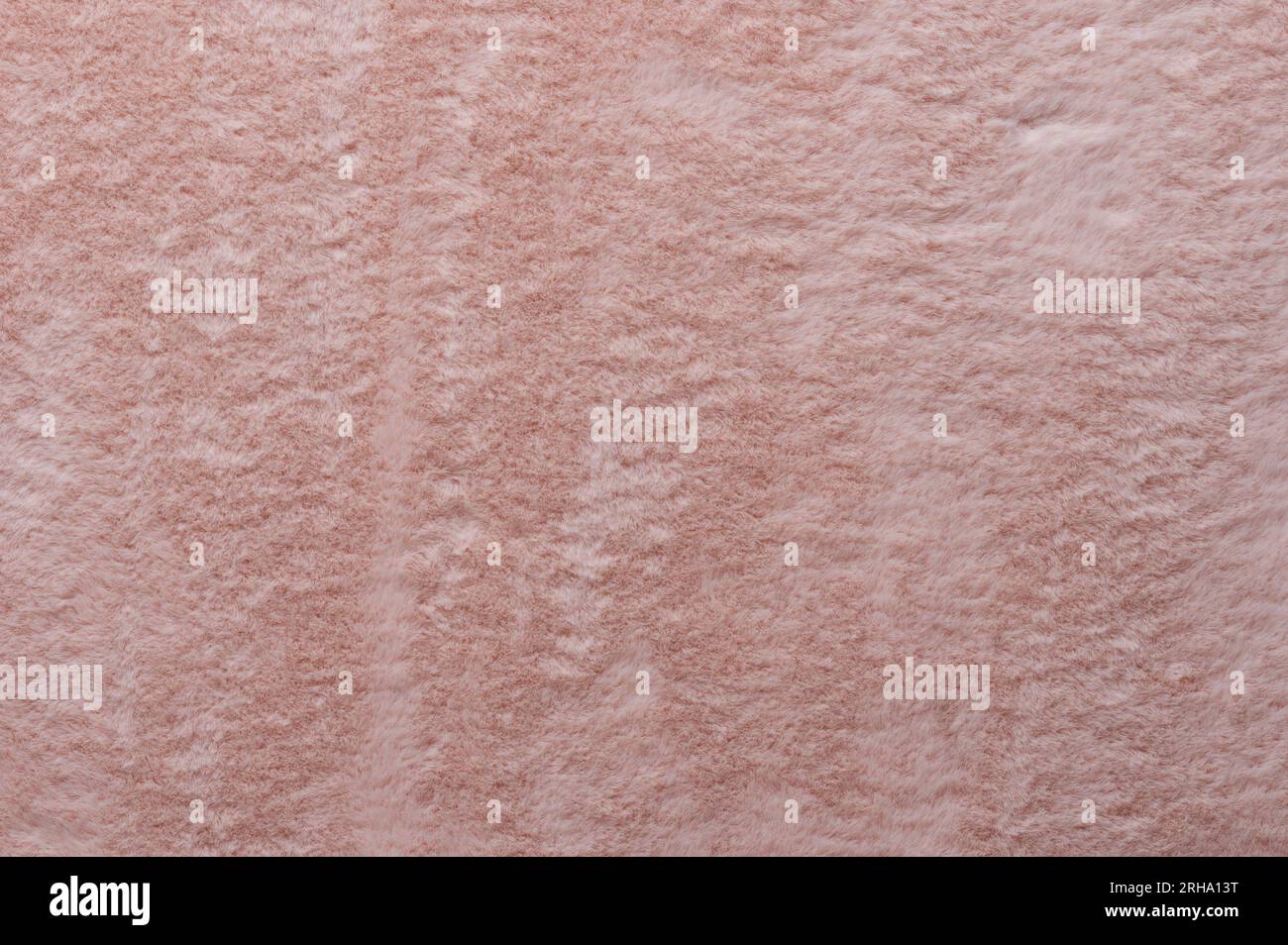 Macro d'arrière-plan de texture de couleur rose moelleuse vue rapprochée Banque D'Images
