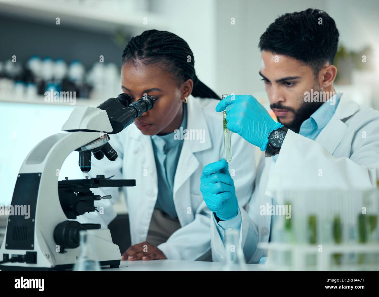 Équipe scientifique, usine de tube à essai et analyse au microscope de produit naturel, biotechnologie et travail d'équipe sur le développement botanique. Collaboration en laboratoire Banque D'Images