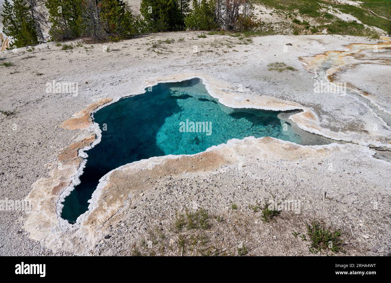 Blue Star Spring, Upper Geyser Basin, parc national de Yellowstone, Wyoming, États-Unis d'Amérique Banque D'Images