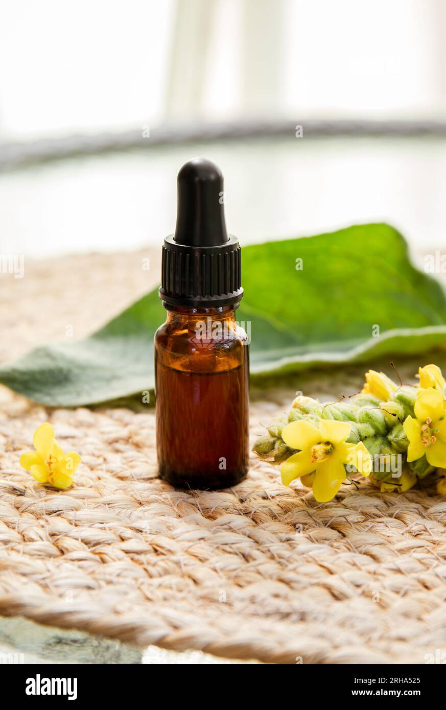 Teinture médicinale à base de plantes maison à base de Verbascum thapsus, la grande molène, la grande molène ou la molène commune. Branche de fleur jaune avec pipette. Banque D'Images
